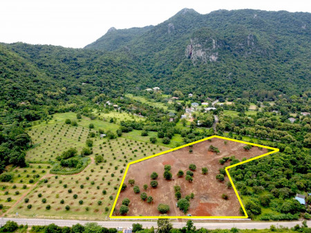 Land for sale in Khao Yai, Phayayen Subdistrict, Pak Chong District, 20 rai, amazing view. Land for sale in Khao Yai, Phayayen Subdistrict, Pak Chong District, 20 rai, amazing view.
