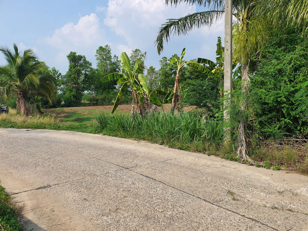 ขาย ที่ดิน เขาใหญ่ ต.​หนองน้ำแดง​ อ.ปากช่อง 8 ไร่ เหมาะแบ่งแปลงทำจัดสรร – รูปที่ 2