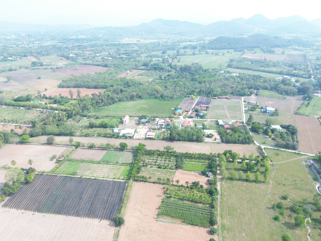ขาย ที่ดิน เขาใหญ่ ต.​หนองน้ำแดง​ อ.ปากช่อง 8 ไร่ เหมาะแบ่งแปลงทำจัดสรร – รูปที่ 4