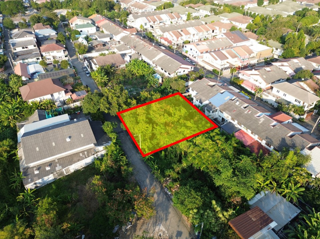 Land for sale, Soi Thaiyanon 16-1, size 200 sq w, near Tiwanon Road, only 2.3 km. KK Land for sale, Soi Thaiyanon 16-1, size 200 sq w, near Tiwanon Road, only 2.3 km. KK