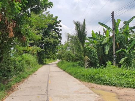 Land for sale, Cha-om Subdistrict, Kaeng Khoi District, 60 rai, very beautiful mountain view. – รูปที่ 2