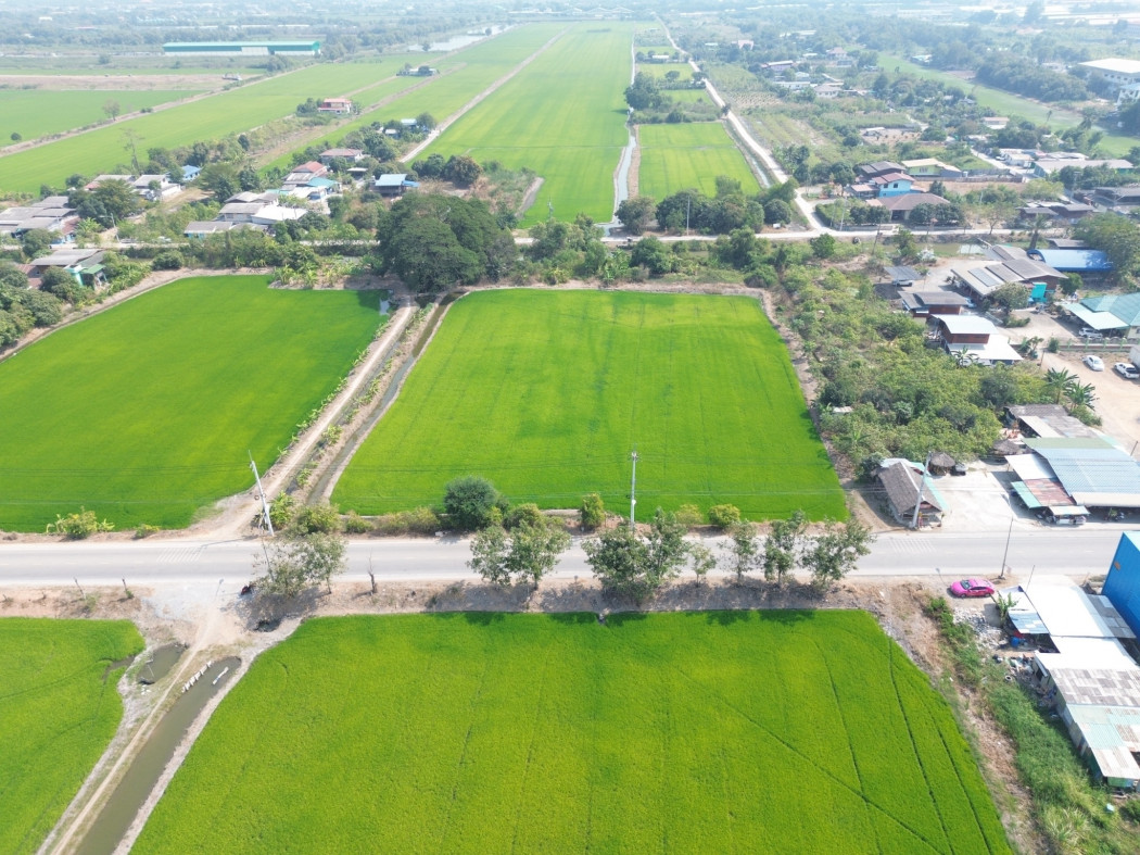 ขาย ที่ดิน ลาดหลุมแก้ว ปทุมธานี 5 ไร่ 2 งาน ใกล้ถ.ปทุมธานี-บางเลน 850 ม DD – รูปที่ 4