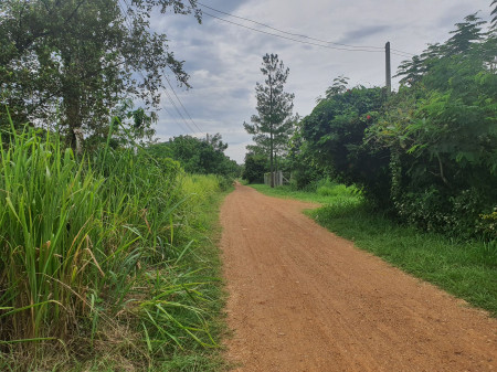 ขาย ที่ดิน เขาใหญ่ ต.หนองน้ำแดง อ.ปากช่อง 2 ไร่ ด้านหลังใกล้ภูเขา น่าอยู่มาก – รูปที่ 4