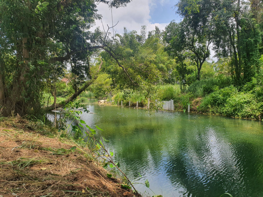 ขาย ที่ดิน เขาใหญ่ ต.​ขนงพระ​ อ.ปากช่อง 100 ไร่ ติดน้ำ วิวเขา สวยมาก – รูปที่ 2