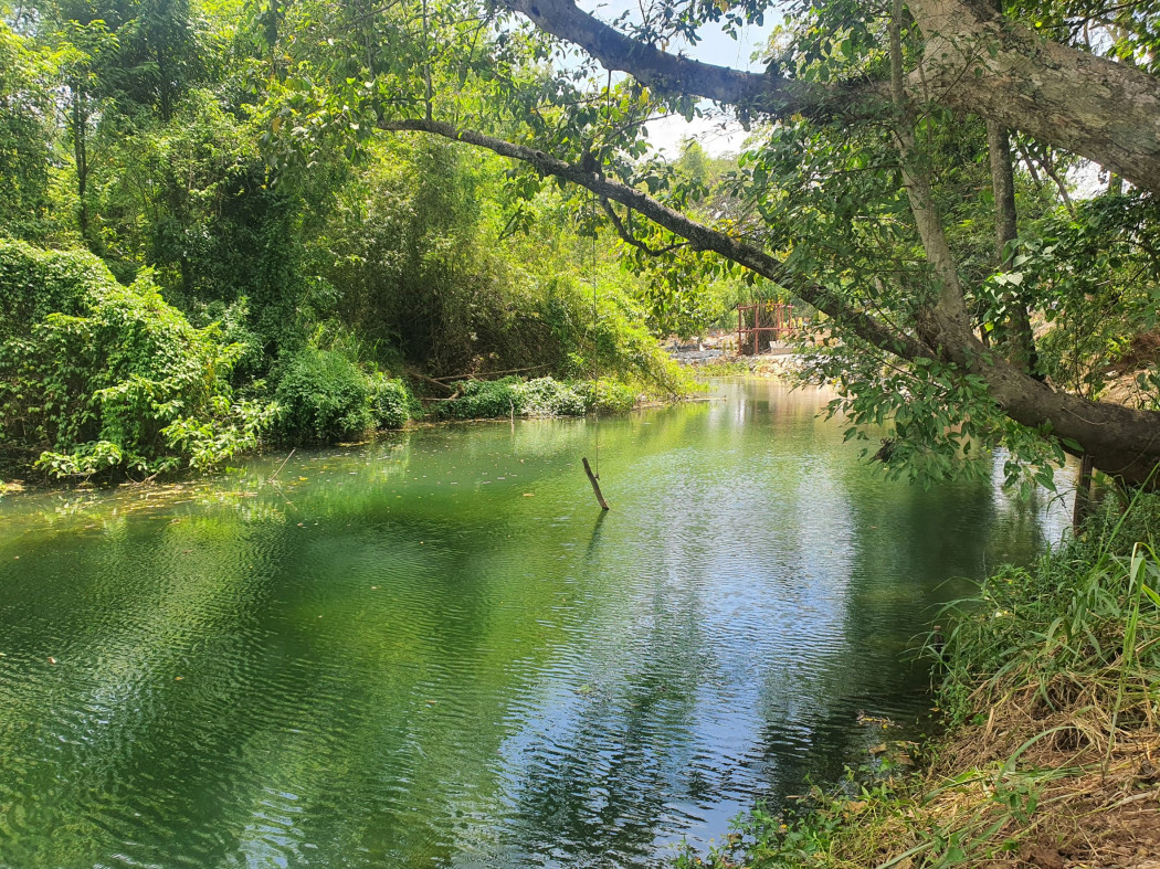 ขาย ที่ดิน เขาใหญ่ ต.​ขนงพระ​ อ.ปากช่อง 100 ไร่ ติดน้ำ วิวเขา สวยมาก – รูปที่ 3