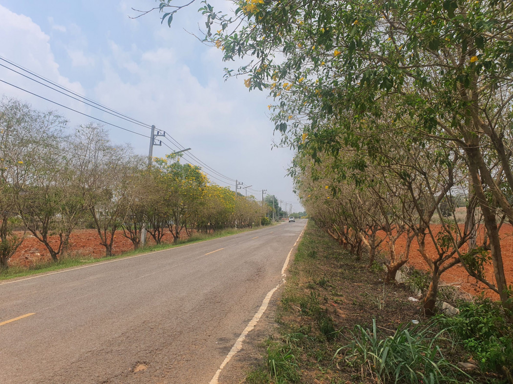 ขาย ที่ดิน เขาใหญ่ ต.​วังกะทะ​ อ.ปากช่อง 12 ไร่ ​เห็นทิวเขา สวยสุดๆ – รูปที่ 2