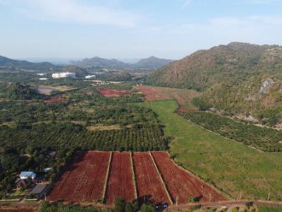 ขาย ที่ดิน เขาใหญ่ ต.หนองน้ำแดง อ.ปากช่อง 5 ไร่ แค่เห็นวิว ก็มีความสุขแล้ว
