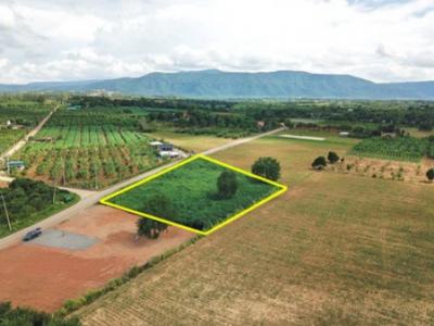 Land for sale in Khao Yai, Pong Tan Subdistrict, Pak Chong District, 1 Rai 1 ngan 28 Sq. The best location in this area.