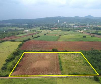 Land for sale in Pong Tao Subdistrict, Pak Chong District, 15 rai. Just seeing the view is happy.