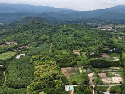 Land for sale, Tambon Kham, Amphoe Kaeng Khoi, 13 rai, next to a canal, with water all year round, rare and mountain views.