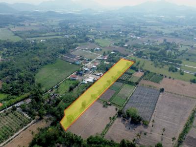 Land for sale in Khao Yai, Nong Nam Daeng, Pak Chong, 8 rai, suitable for dividing plots for allocation.