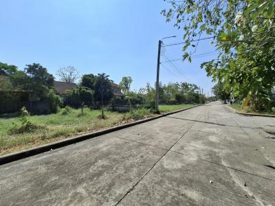 ขายถูกที่สุด ที่ดินหมู่บ้านปัญญาเลคโฮม 119 ตรว ถนนกว้าง สงบ ปลอดภัย KK
