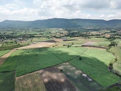 Land for sale in Khao Yai, Wang Sai Subdistrict, Pak Chong District, 240 rai, mountain view, very beautiful view.