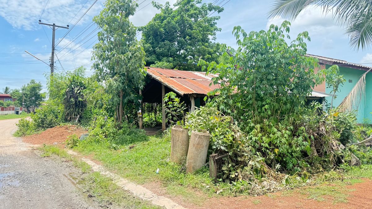 BG 19757 : นอกโครงการอุดรธานี – รูปที่ 3
