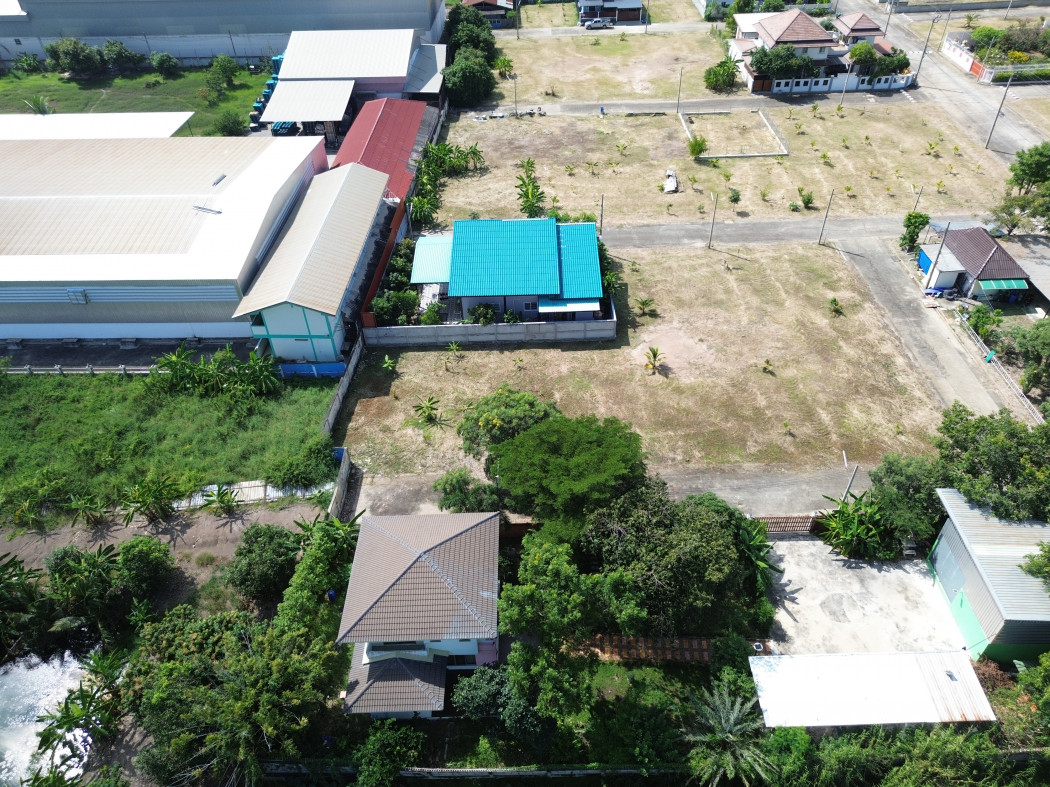 ขาย ที่ดิน ในหมู่บ้านสินสิริ บางบัวทอง 113 ตรว ใกล้ถ.กาญจนาภิเษกแค่ 1.3 กม. DD – รูปที่ 4