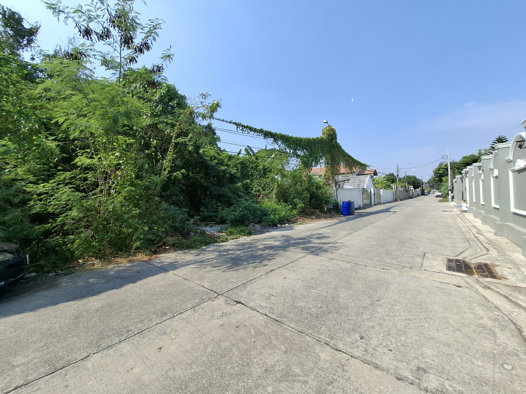 ขาย ที่ดิน ซอยวัดบุยประดิษฐ์ 245 ตรว ใกล้ถ.พุทธมณฑลสาย 2 แค่ 550 ม. DD – รูปที่ 2