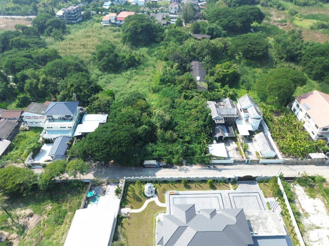 ขาย ที่ดิน ซอยวัดบุยประดิษฐ์ 245 ตรว ใกล้ถ.พุทธมณฑลสาย 2 แค่ 550 ม. DD – รูปที่ 4