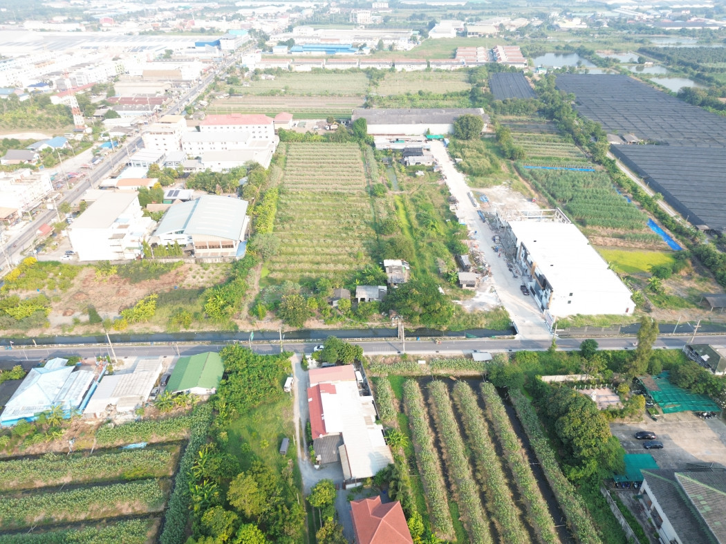 Land for sale, along Khlong Muen Prarom Road, Krathum Baen, 8 rai, 2 ngan, 1 sqw, near Phutthasakorn Road, just 1.5 km. KK – รูปที่ 4