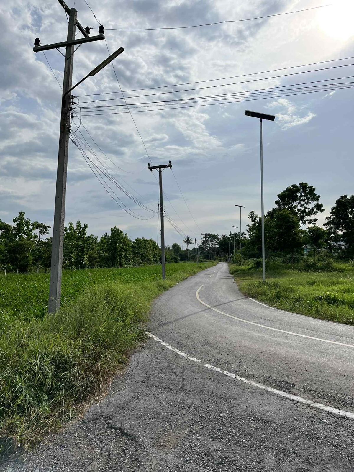 📍 Land for sale 190 sq.w., only 845,000 baht! 🌳 Near Phu Khae Saraburi, good location, worth investing! 🌳 💰 Price only 4,447 baht/sq.w. – รูปที่ 4