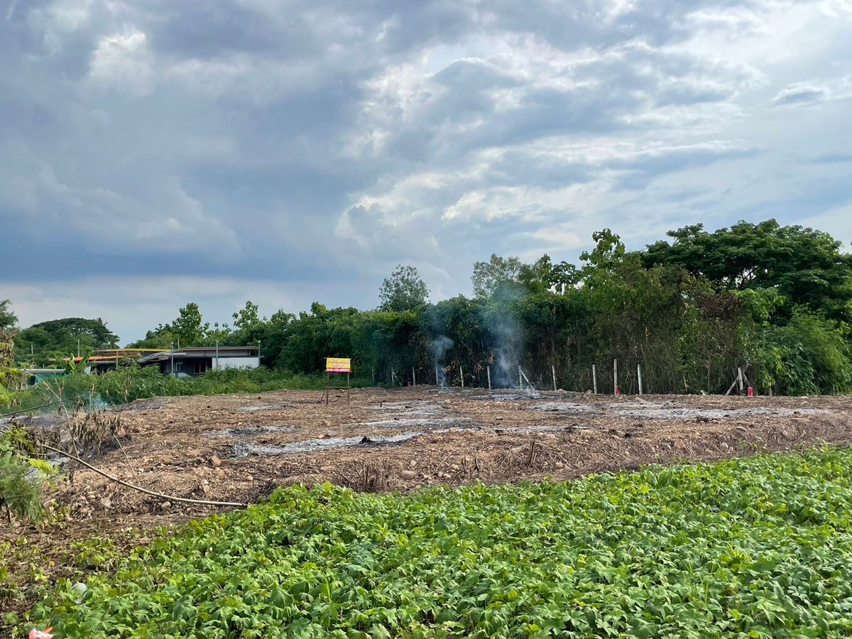 📍 Land for sale 190 sq.w., only 845,000 baht! 🌳 Near Phu Khae Saraburi, good location, worth investing! 🌳 💰 Price only 4,447 baht/sq.w.