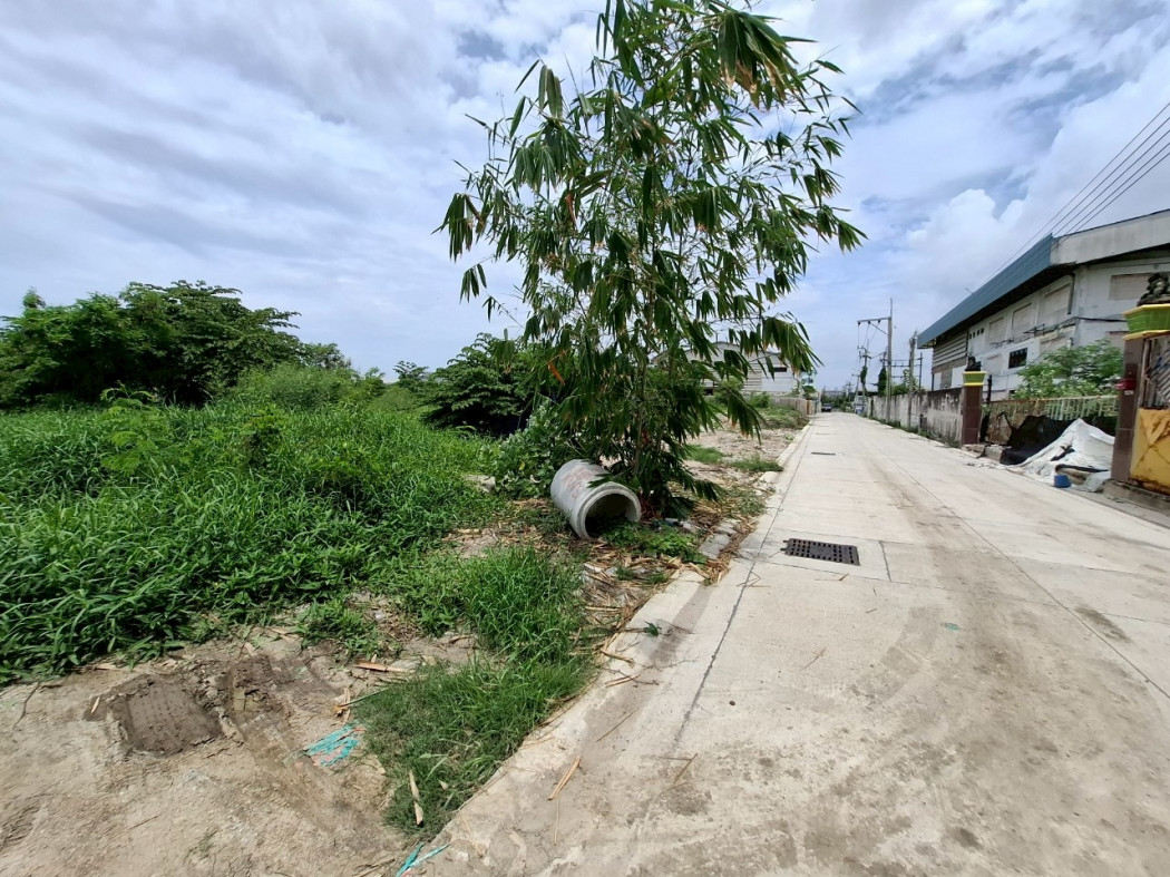 ขาย ที่ดิน ผังสีม่วง บางปลา บางพลี 800 ตรว ใกล้ ถ.เทพารักษ์แค่ 700 ม. CC – รูปที่ 2