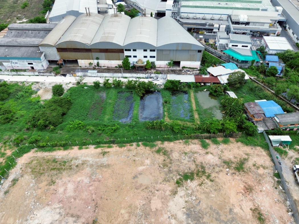 ขาย ที่ดิน ผังสีม่วง บางปลา บางพลี 800 ตรว ใกล้ ถ.เทพารักษ์แค่ 700 ม. CC – รูปที่ 4