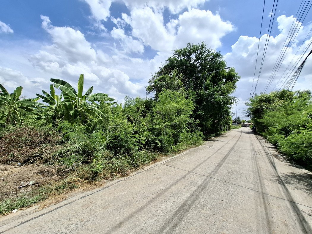 Land for sale, Soi Yusuk, 252 sq w, near Ratchaphruek Road, just 3.2 km. DD – รูปที่ 2