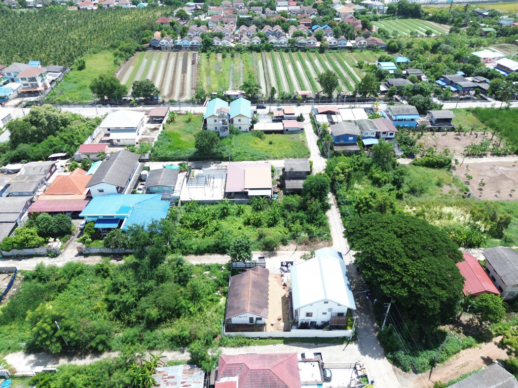 Land for sale, Soi Yusuk, 252 sq w, near Ratchaphruek Road, just 3.2 km. DD – รูปที่ 4
