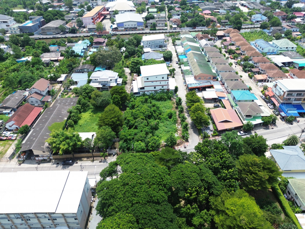 Land for sale, next to Thesaban Road 2, size 349 sq w, suitable for business DD – รูปที่ 4
