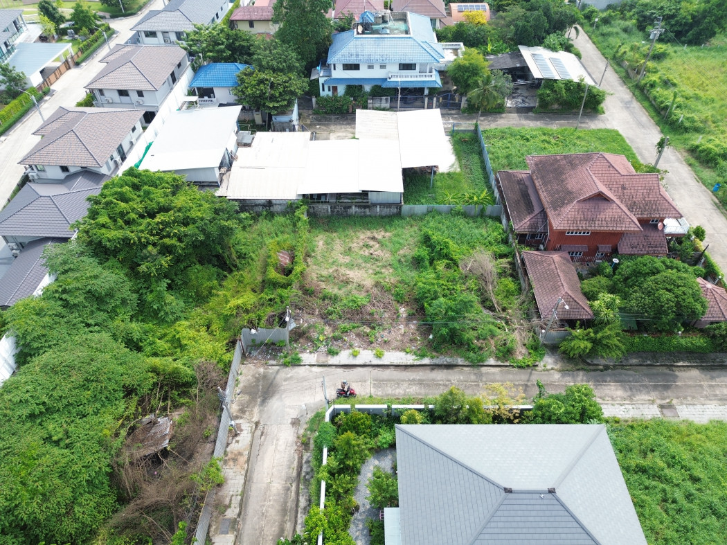 ขายถูก ที่ดิน หมู่บ้านชัชฏาวิลล่า 62 ตรว ใกล้ถ.บางแวกแค่ 350 ม. DD – รูปที่ 4