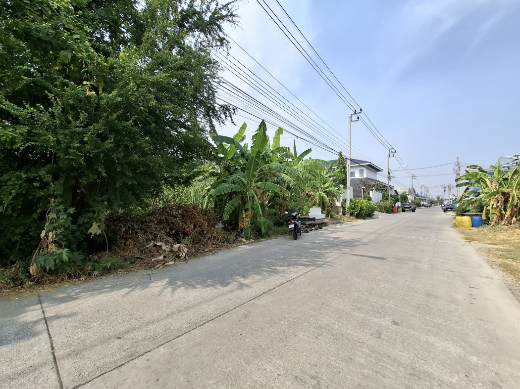 ขาย ที่ดิน หลังตลาดเพชรอารี ซอยสุขพูลผล 200 ตรว ใกล้ถ.แพรกษาแค่ 1.2 กม. KK – รูปที่ 2