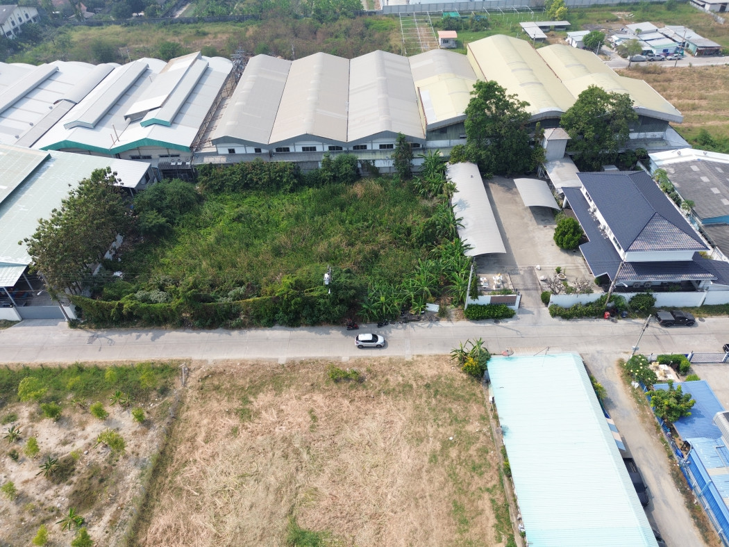 ขาย ที่ดิน หลังตลาดเพชรอารี ซอยสุขพูลผล 200 ตรว ใกล้ถ.แพรกษาแค่ 1.2 กม. KK – รูปที่ 4