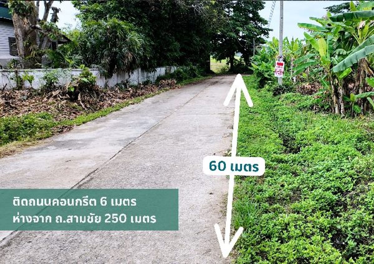 Land for sale, Khao Chang view, suitable for building a house size 384 sq.w., Wiang Chai District, Chiang Rai Province, next to the concrete road, convenient transportation #R1C27692 – รูปที่ 4