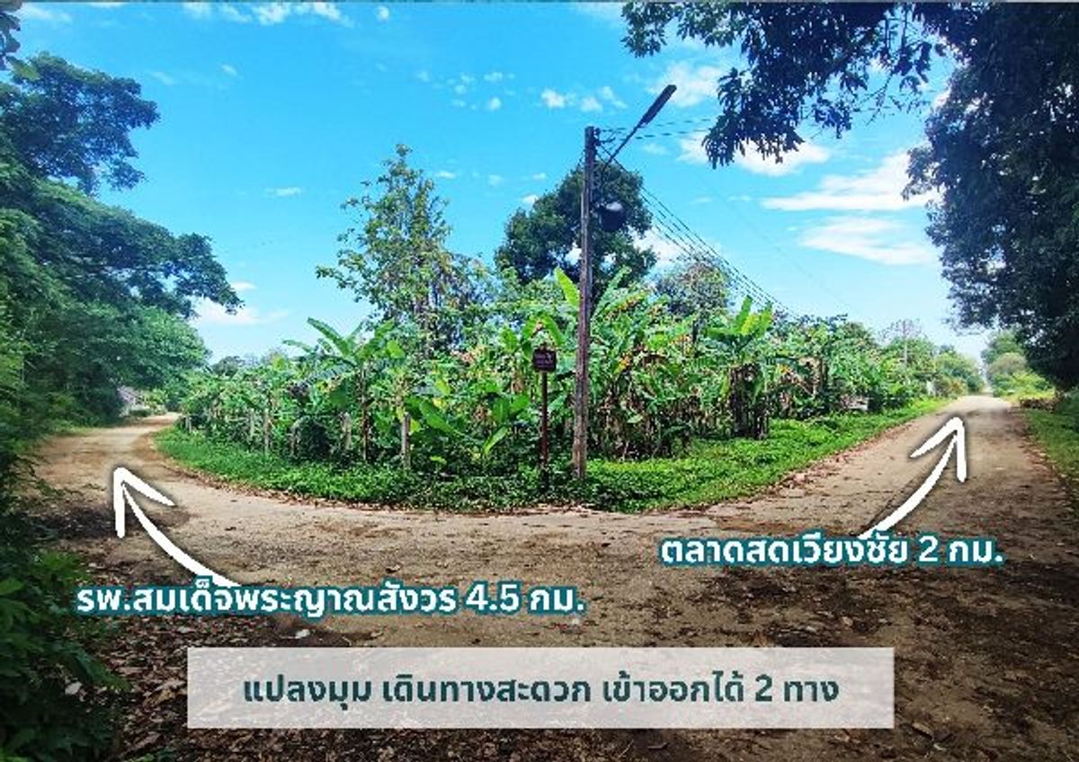 Land for sale, Khao Chang view, suitable for building a house size 384 sq.w., Wiang Chai District, Chiang Rai Province, next to the concrete road, convenient transportation #R1C27692 – รูปที่ 3