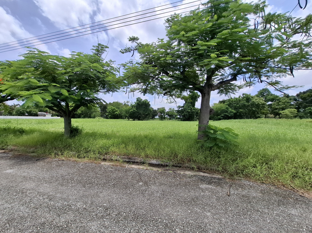 ขาย ที่ดิน สนามกอล์ฟเลควูด 422 ตรว เงียบสงบ ปลอดภัย ใกล้ถ.บางนา-ตราดแค่ 4.4 กม. DD – รูปที่ 4
