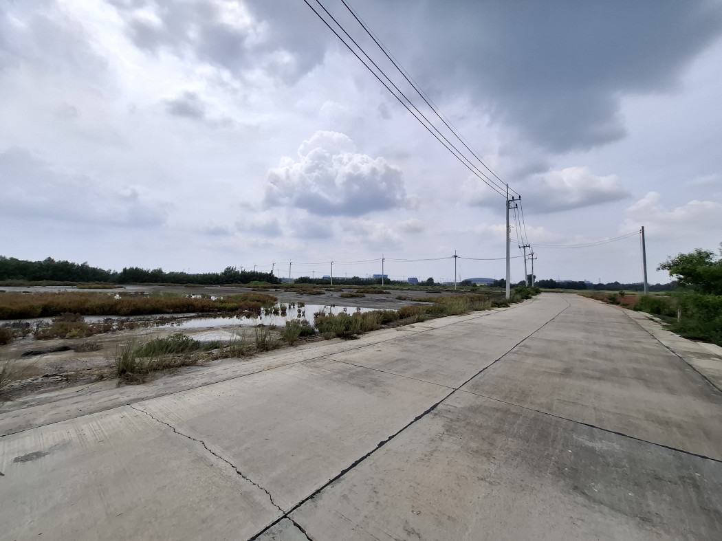 ขาย ที่ดิน ผังสีชมพู บางหญ้าแพรก เมืองสมุทรสาคร 4 ไร่กว่า  ใกล้ถนนพระราม 2 แค่ 5 กม. DD – รูปที่ 2