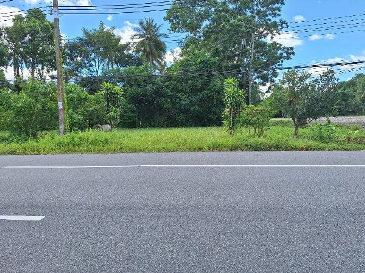Land for sale and then on the main road, 2 top, Chana -Nathawi economy – รูปที่ 4