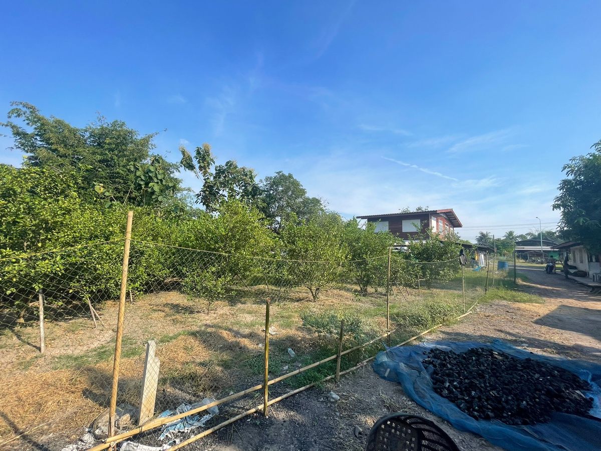 BCN 2156 : นอกโครงการพิจิตร – รูปที่ 4
