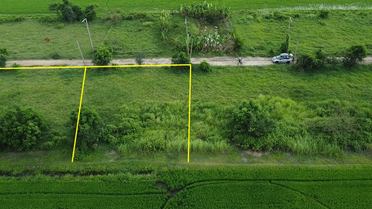 Small plot of land, Khlong 16, cheap, near Bangkok, suitable for planting a garden – รูปที่ 3