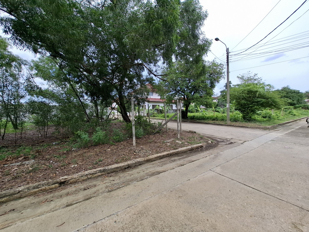 Land for sale, Chatchada Villa Village, Soi 3, size 90 sq w, near Phutthamonthon Sai 3 Road, just 1.1 km. DD – รูปที่ 2