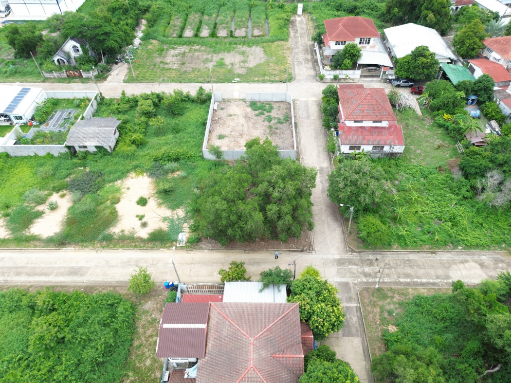 Land for sale, Chatchada Villa Village, Soi 3, size 90 sq w, near Phutthamonthon Sai 3 Road, just 1.1 km. DD – รูปที่ 4