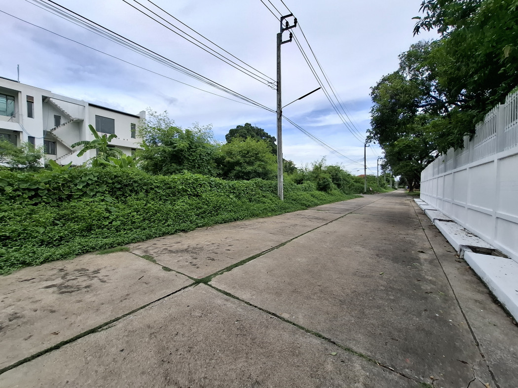 ขาย ที่ดิน ซอยอุเทน 341 ตรว ถนนกว้าง 6 เมตร แปลงมุม ใกล้ถ.นวมินทร์แค่ 700 ม. KK – รูปที่ 2