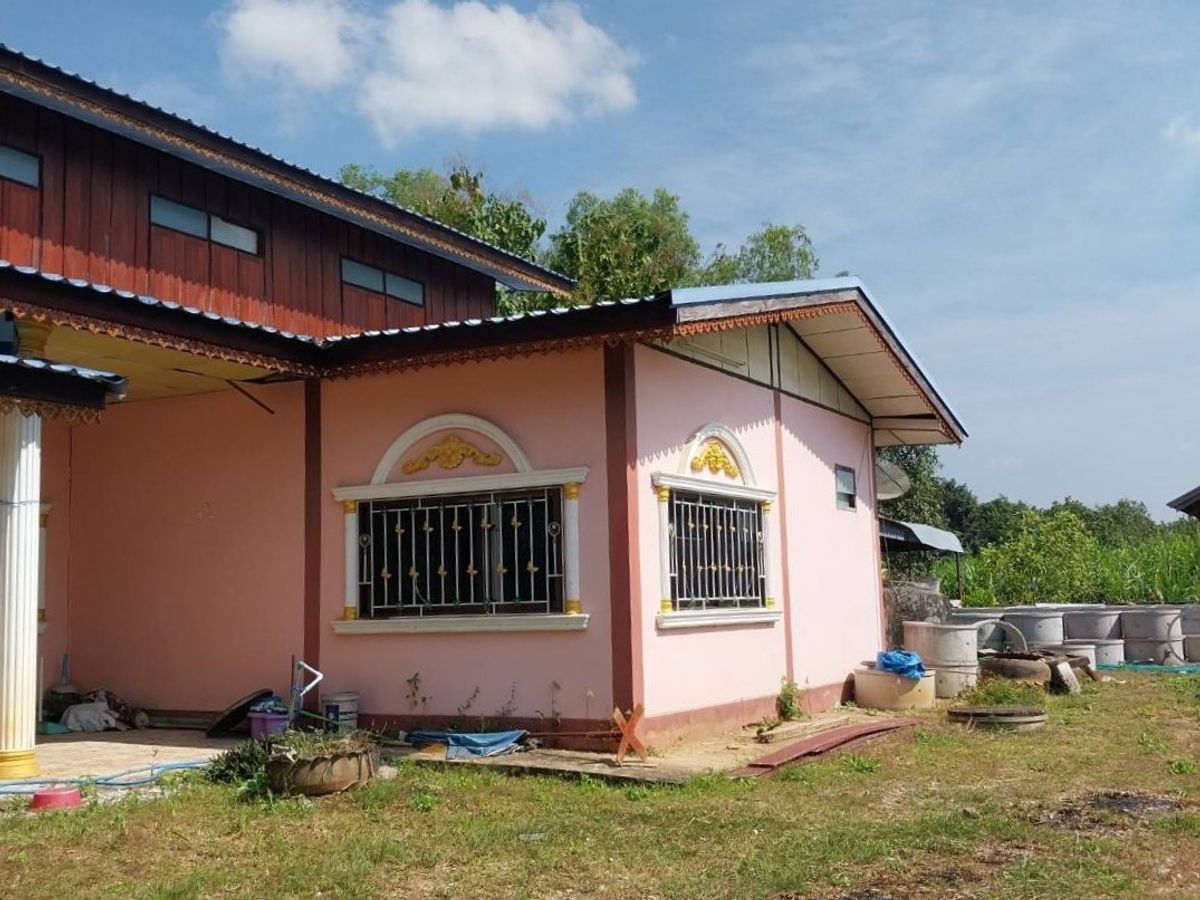 BG 4747 : นอกโครงการเลย – รูปที่ 3