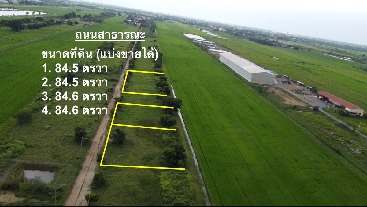ที่ดินแปลงเล็ก คลอง 16 ราคาถูก ใกล้กรุงเทพฯ เหมาะปลูกบ้านสวน ที่ดินแปลงเล็ก คลอง 16 ราคาถูก ใกล้กรุงเทพฯ เหมาะปลูกบ้านสวน