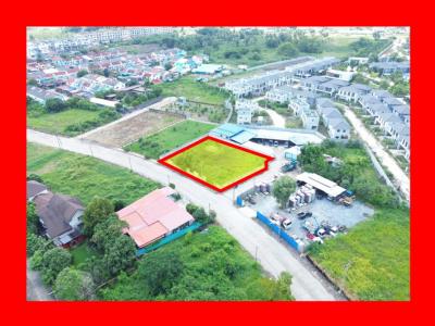 Land for sale, Krisada Nakhon Village 26, Nakhon Chai Si, 293 sqw, near Phetkasem Road, only 750 m. DD