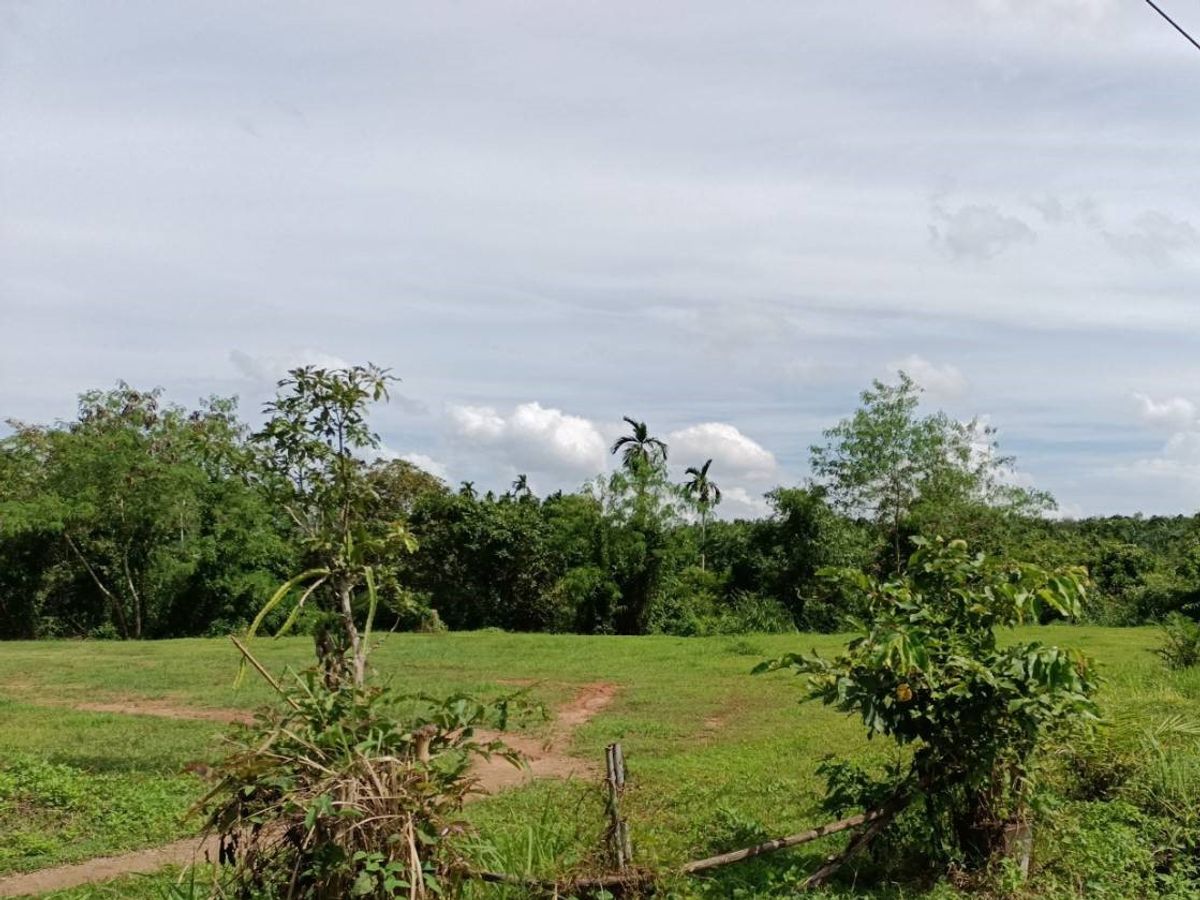 BG 18734: Empty Land – รูปที่ 3