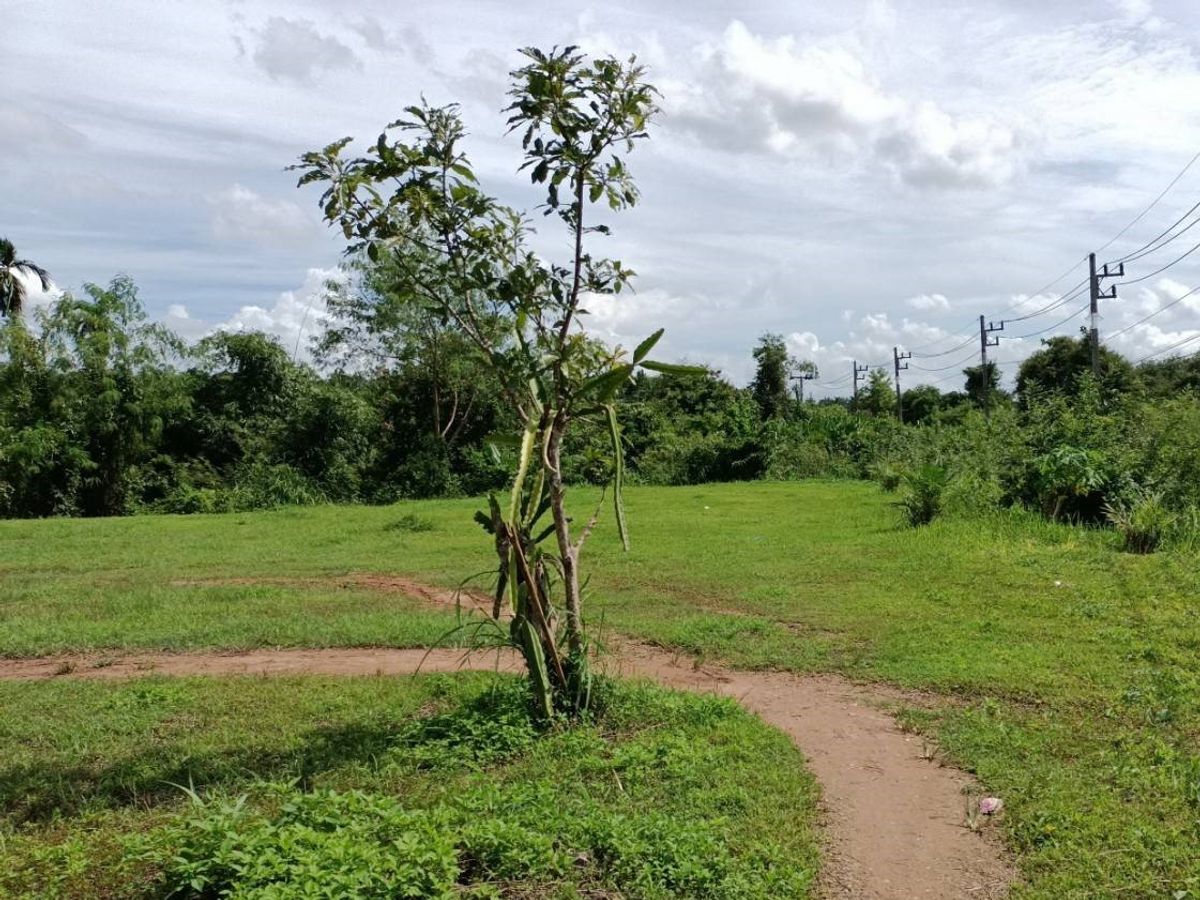 BG 18734: Empty Land – รูปที่ 2
