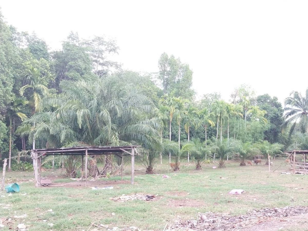 BG 7545: Empty Land – รูปที่ 2
