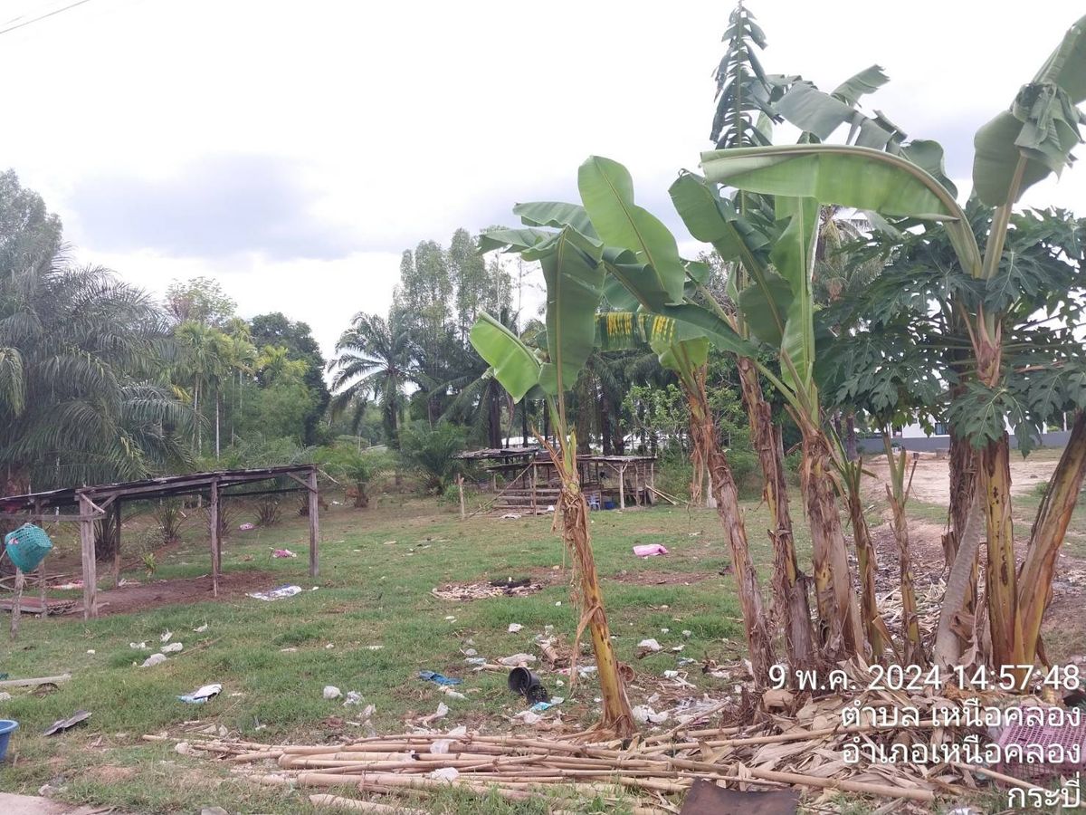 BG 7545: Empty Land – รูปที่ 4