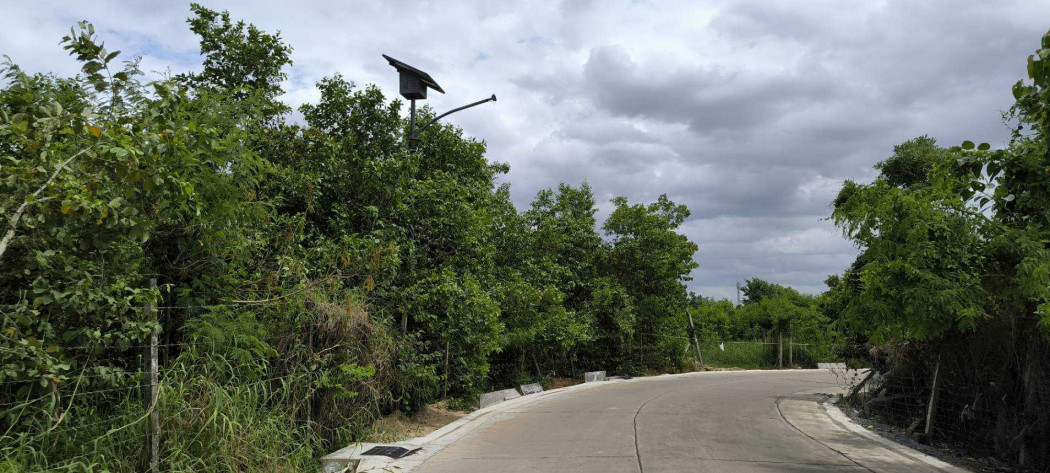 Land for sale, Pathum Thani-Sai Nai, Road 307, size 19 rai 2 ngan 83.6 sq wa, filled in. Land for sale, Pathum Thani-Sai Nai, Road 307, size 19 rai 2 ngan 83.6 sq wa, filled in.